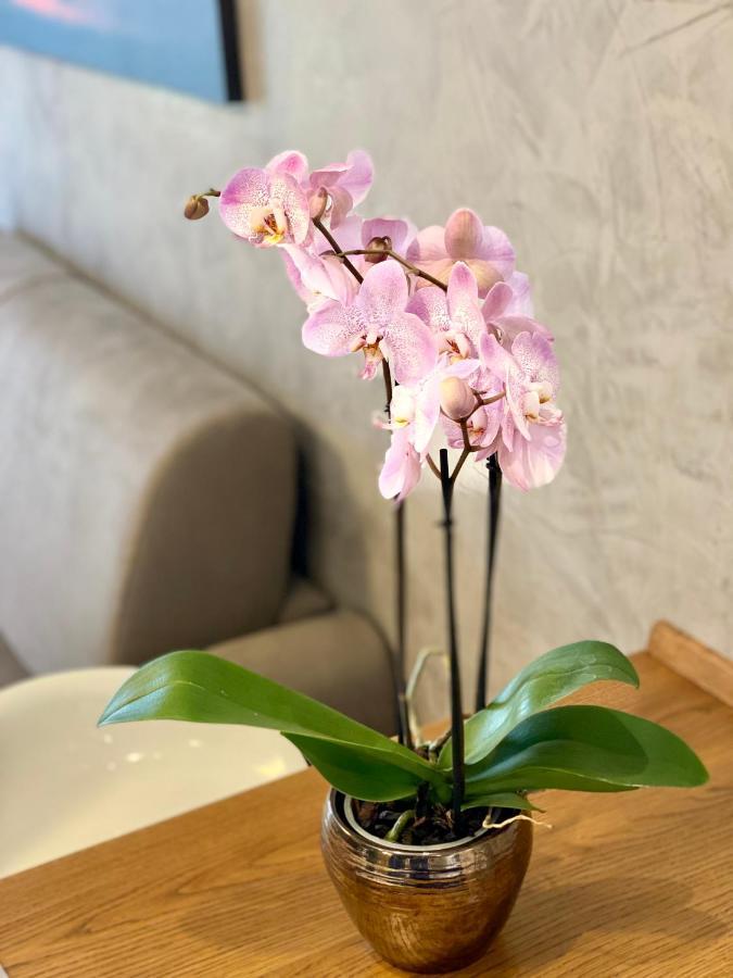 Appartamento Spoleto Valadier 外观 照片